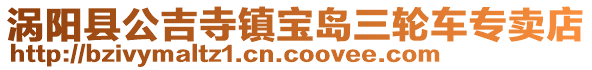 渦陽縣公吉寺鎮寶島三輪車專賣店