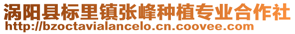 渦陽(yáng)縣標(biāo)里鎮(zhèn)張峰種植專業(yè)合作社