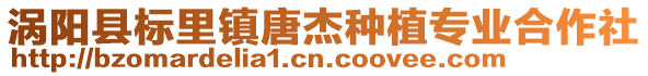 渦陽縣標里鎮唐杰種植專業合作社