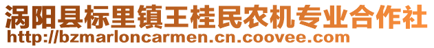 渦陽縣標(biāo)里鎮(zhèn)王桂民農(nóng)機(jī)專業(yè)合作社