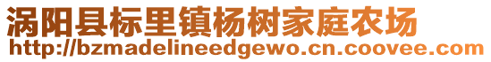 渦陽縣標(biāo)里鎮(zhèn)楊樹家庭農(nóng)場(chǎng)