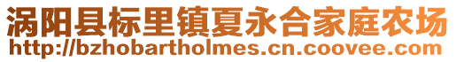 渦陽縣標里鎮夏永合家庭農場