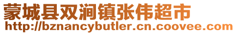 蒙城縣雙澗鎮張偉超市