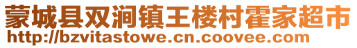蒙城縣雙澗鎮王樓村霍家超市