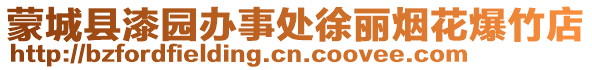 蒙城縣漆園辦事處徐麗煙花爆竹店