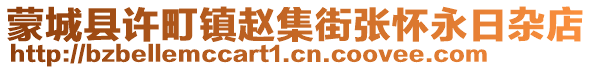 蒙城縣許町鎮(zhèn)趙集街張懷永日雜店