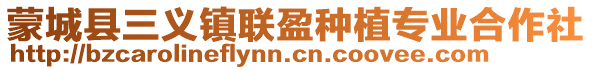 蒙城县三义镇联盈种植专业合作社