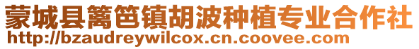 蒙城县篱笆镇胡波种植专业合作社