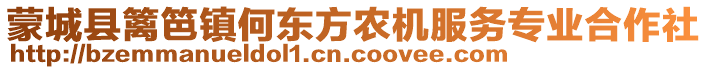 蒙城县篱笆镇何东方农机服务专业合作社