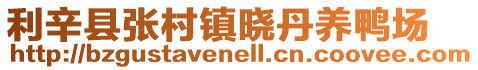 利辛縣張村鎮曉丹養鴨場