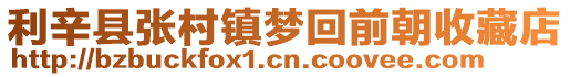 利辛縣張村鎮夢回前朝收藏店