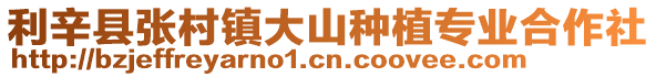 利辛縣張村鎮大山種植專業合作社