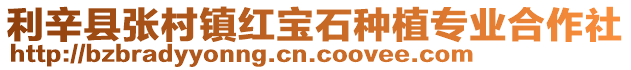 利辛縣張村鎮紅寶石種植專業合作社