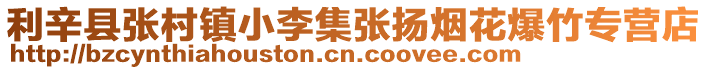 利辛縣張村鎮小李集張揚煙花爆竹專營店