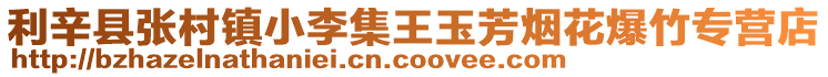 利辛縣張村鎮小李集王玉芳煙花爆竹專營店