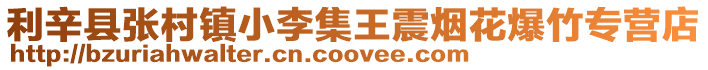 利辛縣張村鎮小李集王震煙花爆竹專營店
