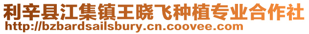 利辛縣江集鎮王曉飛種植專業合作社