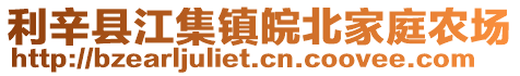 利辛縣江集鎮(zhèn)皖北家庭農(nóng)場