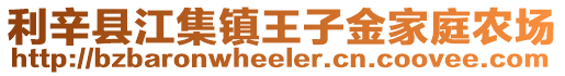 利辛縣江集鎮(zhèn)王子金家庭農(nóng)場(chǎng)