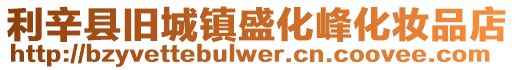 利辛縣舊城鎮盛化峰化妝品店