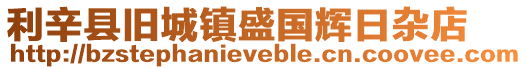 利辛縣舊城鎮(zhèn)盛國(guó)輝日雜店