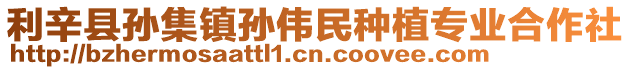 利辛縣孫集鎮(zhèn)孫偉民種植專業(yè)合作社