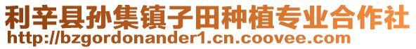 利辛縣孫集鎮子田種植專業合作社