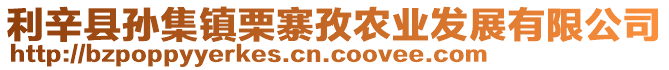 利辛縣孫集鎮(zhèn)栗寨孜農(nóng)業(yè)發(fā)展有限公司