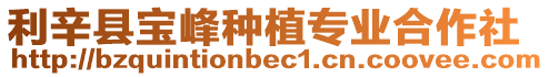 利辛縣寶峰種植專業合作社