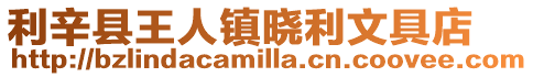 利辛縣王人鎮曉利文具店