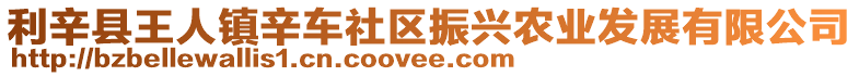 利辛縣王人鎮(zhèn)辛車社區(qū)振興農(nóng)業(yè)發(fā)展有限公司