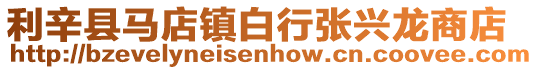 利辛縣馬店鎮(zhèn)白行張興龍商店
