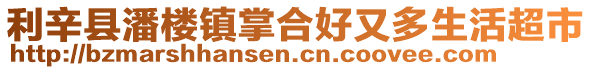 利辛縣潘樓鎮掌合好又多生活超市