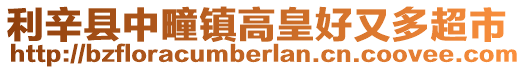 利辛縣中疃鎮高皇好又多超市