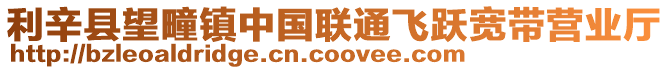 利辛縣望疃鎮(zhèn)中國聯(lián)通飛躍寬帶營業(yè)廳