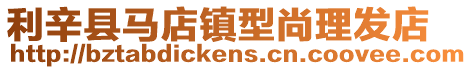 利辛縣馬店鎮型尚理發店