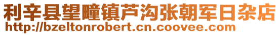 利辛縣望疃鎮(zhèn)蘆溝張朝軍日雜店