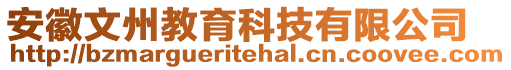 安徽文州教育科技有限公司