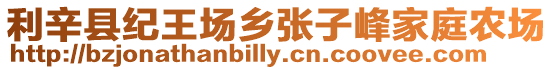 利辛縣紀王場鄉張子峰家庭農場