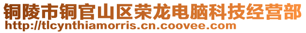 铜陵市铜官山区荣龙电脑科技经营部