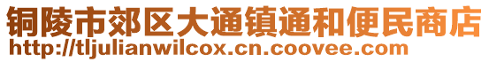 銅陵市郊區(qū)大通鎮(zhèn)通和便民商店