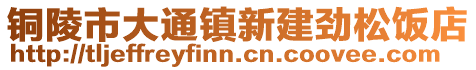 铜陵市大通镇新建劲松饭店