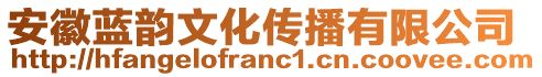 安徽藍(lán)韻文化傳播有限公司