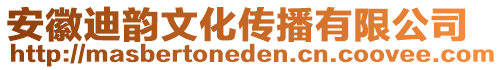 安徽迪韻文化傳播有限公司