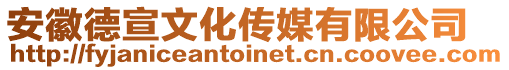 安徽德宣文化傳媒有限公司