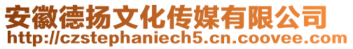 安徽德?lián)P文化傳媒有限公司