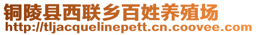 銅陵縣西聯(lián)鄉(xiāng)百姓養(yǎng)殖場(chǎng)