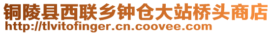 銅陵縣西聯(lián)鄉(xiāng)鐘倉(cāng)大站橋頭商店