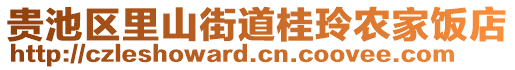 貴池區(qū)里山街道桂玲農(nóng)家飯店