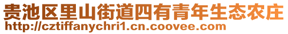 貴池區(qū)里山街道四有青年生態(tài)農(nóng)莊